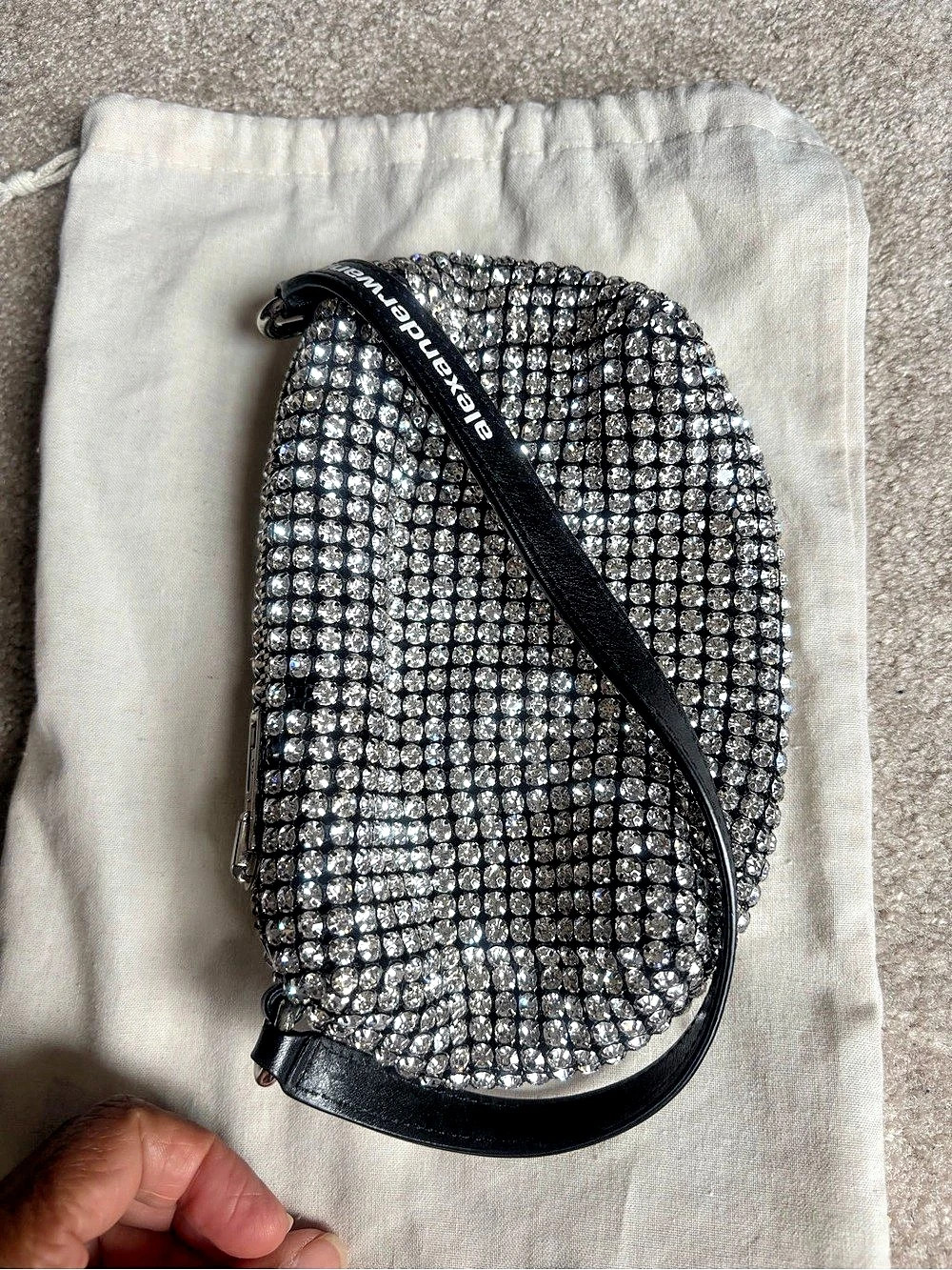 Alexander Wang Heiress Pouch in Crystal Mesh Crossbody Bag